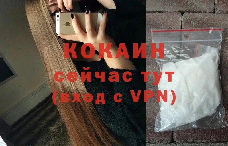 Cocaine FishScale  где можно купить наркотик  Кольчугино 